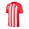 Original Fußballtrikot Atlético Madrid Heimtrikot 2023-24 Für Herren